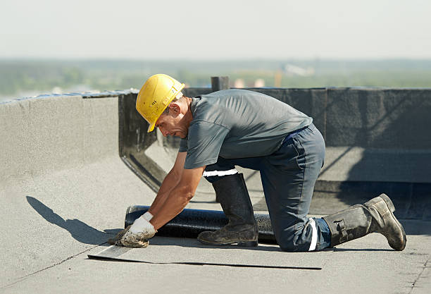 Best Specialized Insulation Services in Kingston, PA