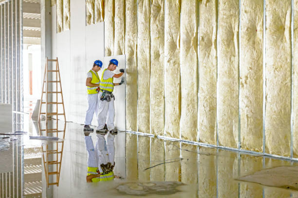 Best Eco-Friendly Insulation in Kingston, PA